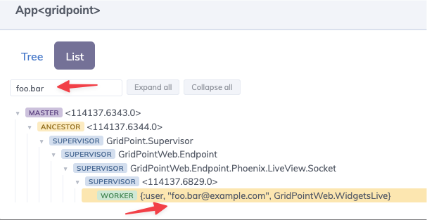 Search matching LiveView process by the user's email address